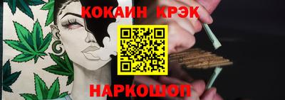шишки Шелехов