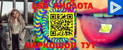 стафф Шахты