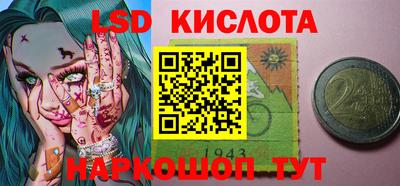 шишки Шелехов