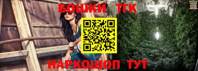 шишки Шелехов
