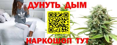стафф Шахты