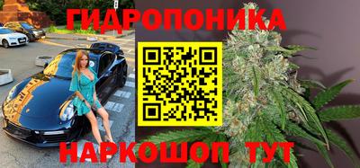 прущие крисы Ярославль